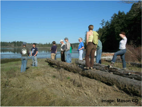 group of people on large pieces of timber next to water