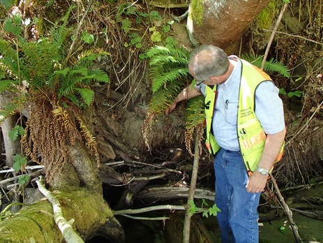 man in orange safety vest assessing erosion next to green vegetation