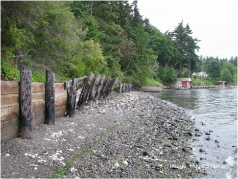 Shore line with wooden fence on shore 