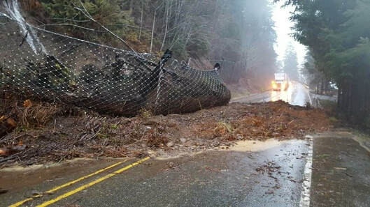 woody debris on road with a net full of fallen debris on top