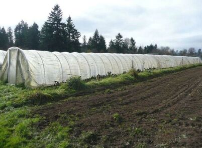 White high tunnel greenhouse next to tilled soil
