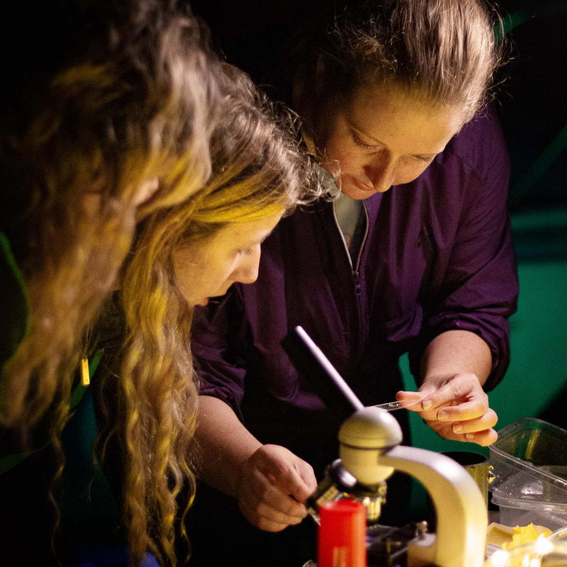 Girl looking into a microscope with the help of an estuarium worker