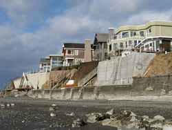 group of homes on shore line