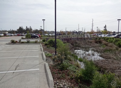 Rain garden within the PUD parking lot