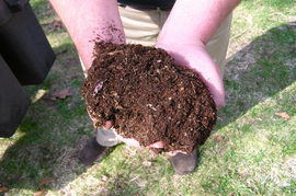 person's hands holding a pile of fertilizer