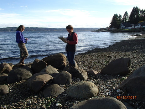 two people standing on a rocky beach. one is holding a clipboard