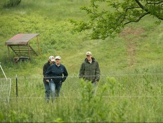 Three adults walking through grass field