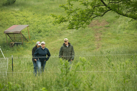 Three people walking through a green pasture