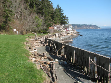 shore line with old wooden fence on shore