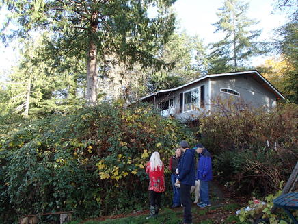 group of people in a backyard by a large shrub